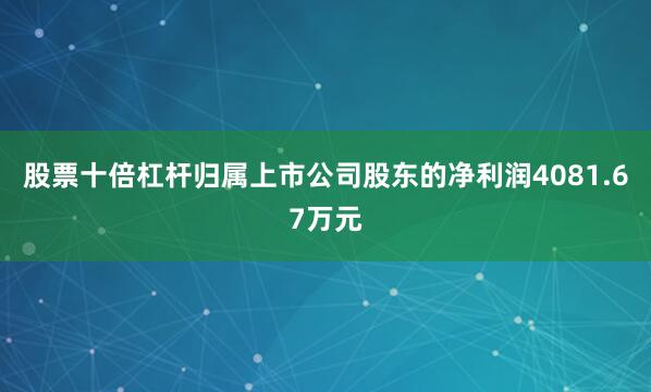 股票十倍杠杆归属上市公司股东的净利润4081.67万元