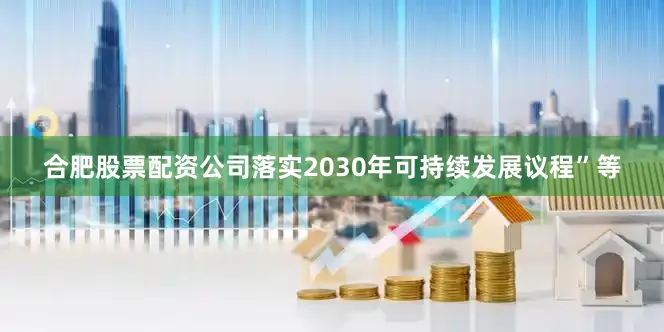 合肥股票配资公司落实2030年可持续发展议程”等
